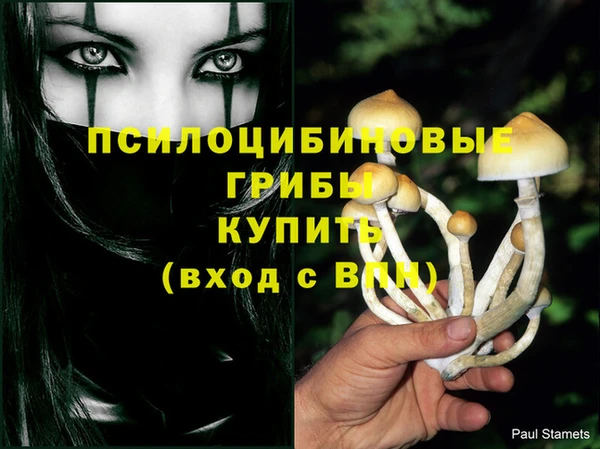 каннабис Строитель