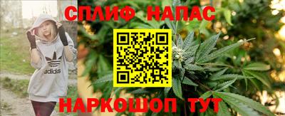 стафф Краснодар