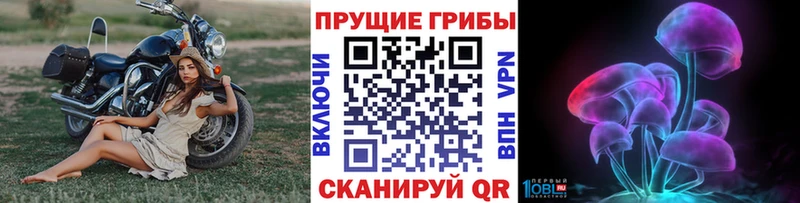 как найти наркотики Смоленск Псилоцибиновые грибы Psilocybe