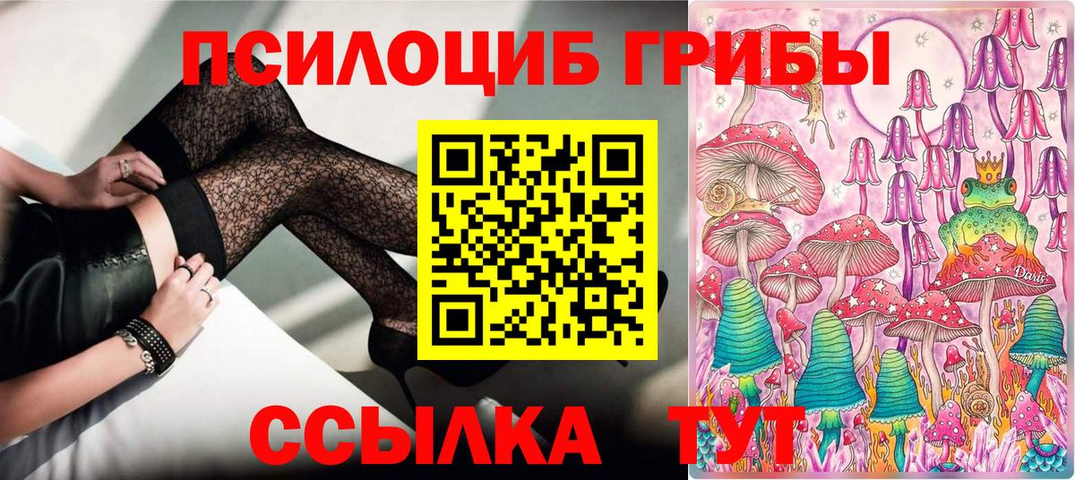 Галлюциногенные грибы Psilocybe Смоленск