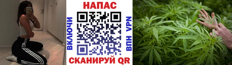 Шишки марихуана план Смоленск